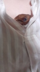 【お題日記】ペットにつけたい名前は？