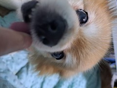 【お題日記】懐かしい写真に心がほっこりした事