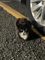 あちゅにゃぁ(^-^;