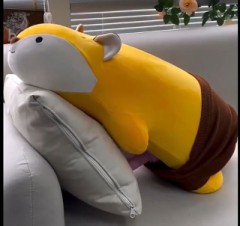 女の子の部屋に