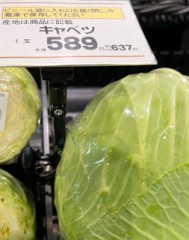 キャベツよりも