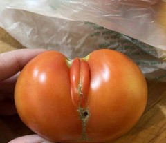 変なこと思っちゃうじゃない