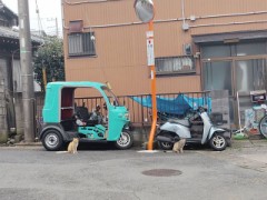 あたたくなってきましたね