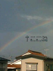 have you ever seen the Rainbow?