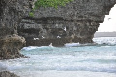 びしょ濡れ。。。。（＾＾）