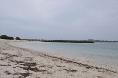 初体験（＾＾）