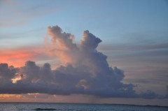 とっておきの（＾＾）