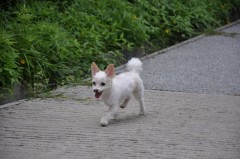 えっへ（＾＾）／