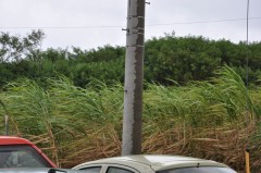 初めての（＾＾）