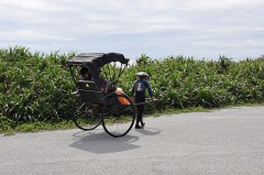 悩んでいる君に！