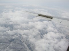 蒸し暑い。。。。。。