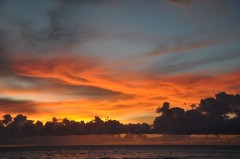 【お題日記】突然長期休暇が取れたらどうする？