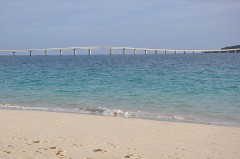 ありがとう！（＾＾）