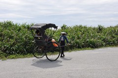 再開！（＾＾）