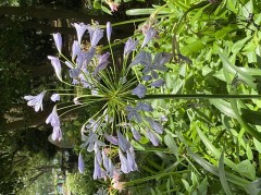 こんなところに！