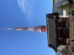 この頃から始まった！