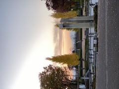 サボちゃおうかな