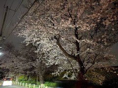 川沿いがやばい！