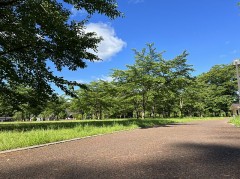 昼寝しに行こうかな？