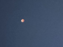 上手く撮れない