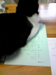 こんな蒸し暑い夜は…