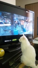 裏ﾃﾞｼﾞやめます。
