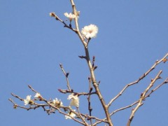 さっき書いたのがない。