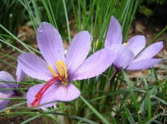 風邪いやだね。