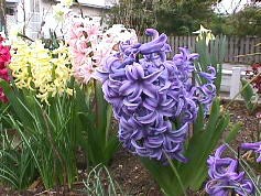 腰痛は大別して3つある。