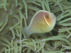 サラ金も大変な