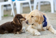 心理学的にも『手が冷たい人は心が温かい』は本当。
