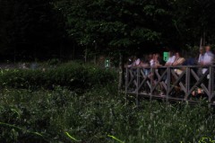 【お題日記】デートの費用は割り勘？おごり？