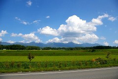 あなたはどっち？ たった5秒で嘘が上手か下手かがわかるテスト