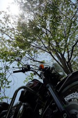 【お題日記】長く続けていることはありますか？