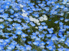 【お題日記】恋人とのセックスに不満はある？