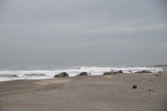 【お題日記】ハマっている食べ物