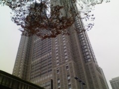 久しぶりに・・・