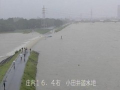 これ、やばくね？