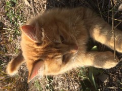 可愛いなぁ～(*^^*)