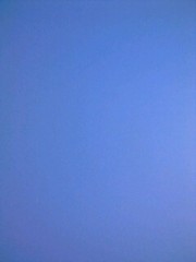 【お題日記】週末どこにデートへ行く？