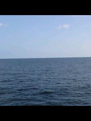 【お題日記】バレンタインデーとホワイトデーのお返し