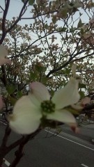 【お題日記】今朝はちゃんと起きられましたか？