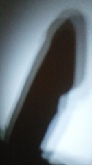 【お題日記】(^_^;)閲覧注意(-_-;)変わった性癖はありますか？