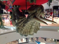 【お題日記】距離感ってどうやって、はかってるの？