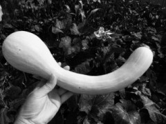 【お題日記】エッチに持ちこみたい時にする行動