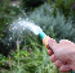 【お題日記】限界までチャレンジしてみたこと