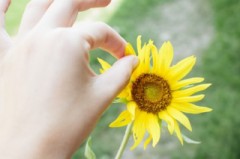 【お題日記】新年に占いする？