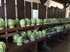 【お題日記】こんな映え写真撮りました