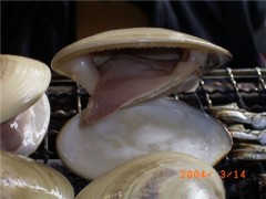 きょうはひな祭り～