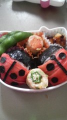 てんとう虫弁当